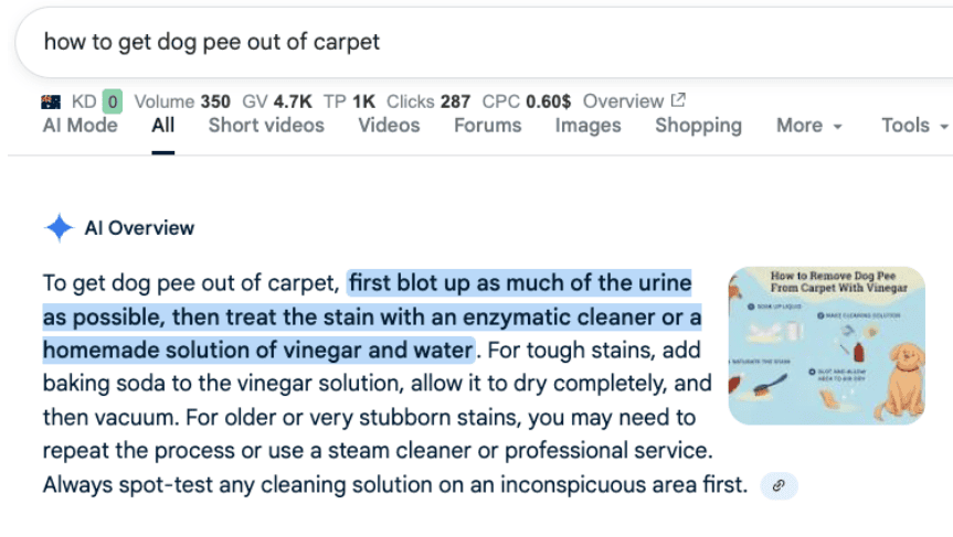 A screenshot of a Google search for 'How to get dog pee out of carpet" with a featured snippet answer