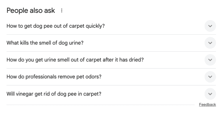 A screenshot of the 'People Also Ask' section for 'How to get dog pee out of carpet' with a list of questions
