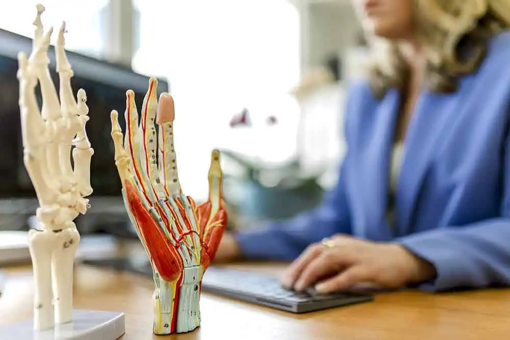 Healthcare hand anatomy model used for patient assessment and clinical consultation